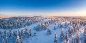 Panorama hivernal de la Laponie finlandaise avec collines enneigées et sapins
