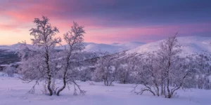 Paysage panoramique de la Laponie finlandaise en hiver avec collines enneigées et ciel crépusculaire