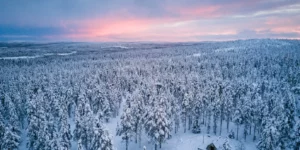 Vue aérienne de la Laponie finlandaise enneigée au crépuscule hivernal