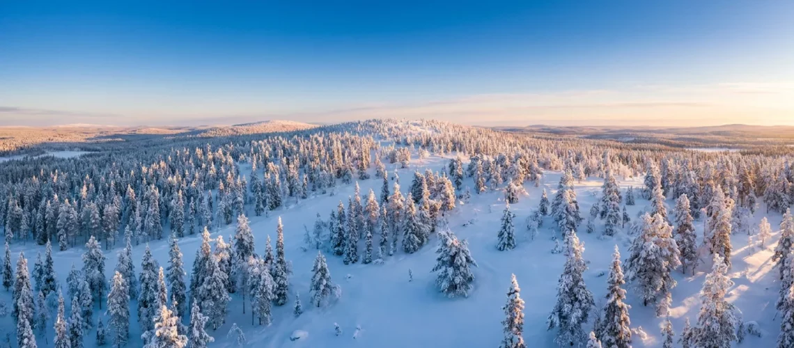 Panorama hivernal de la Laponie finlandaise avec collines enneigées et sapins
